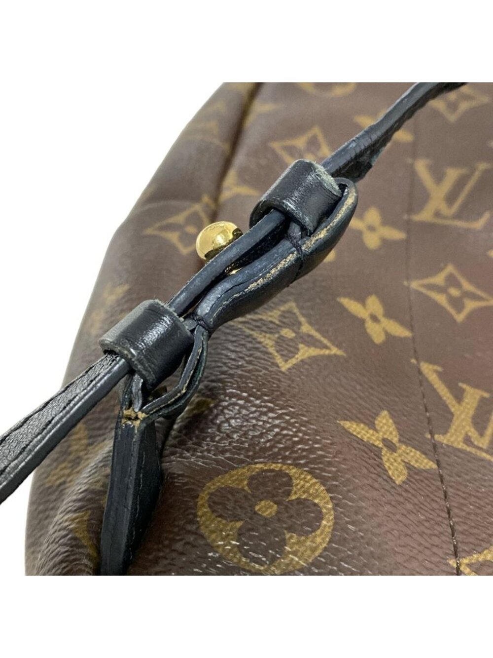 Louis Vuitton Sac Monogram Palm Springs Backpack PM - Picture 13 of 15